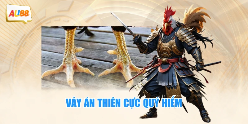 Vảy án thiên cực quý hiếm